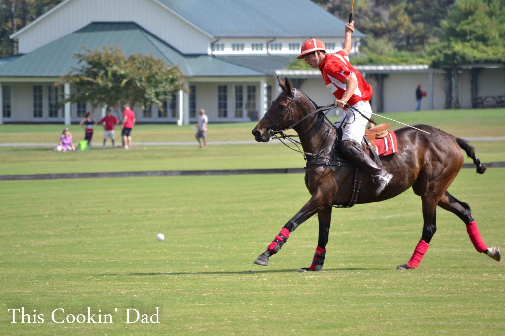 Polo Match