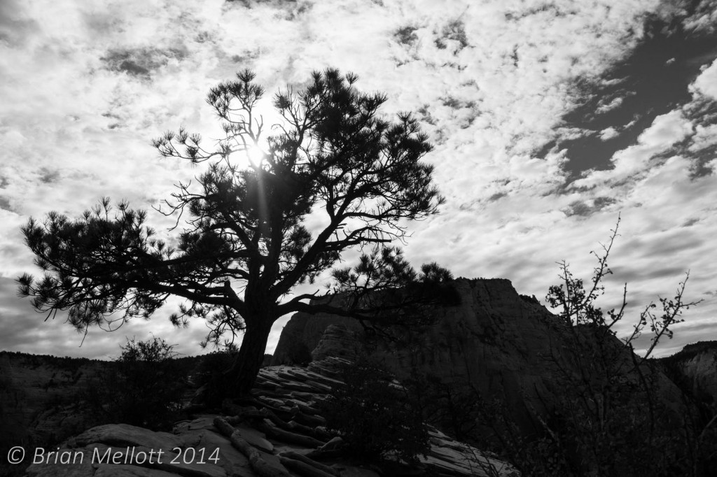 Angel's Landing-2