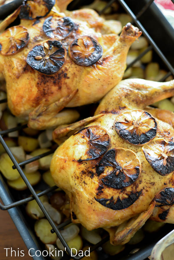 Roast-Chicken-with-Burnt-Lemon-2